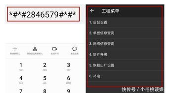 怎么区分华为山寨手机(怎么区分华为山寨手机真假)