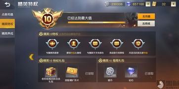 手机怎么登录华为猫(华为的猫怎么登陆)