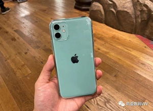 iphone华为手机怎么选(苹果华为手机怎么选)