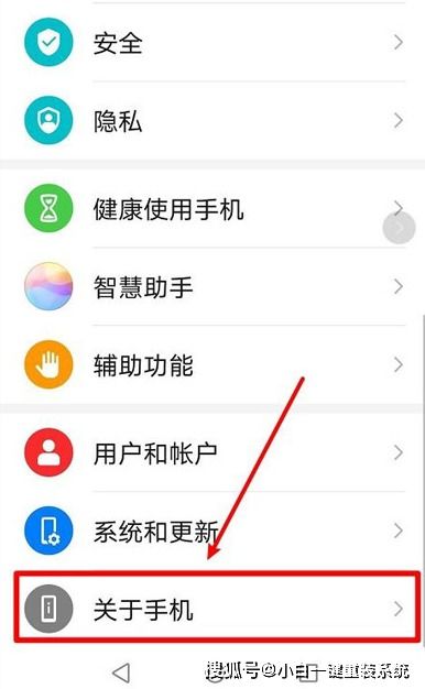 华为手机怎么进DNS(华为手机怎么进入开发者设置)