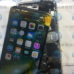 华为手机怎么维修啊(华为手机怎么维修啊视频)
