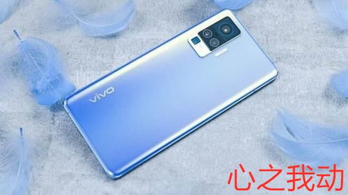 iqoo手机怎么下华为(iqoo可以下载华为应用市场吗)